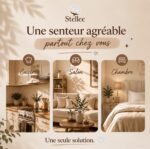désodorisants automatique super efficace couvre 900ft_Diffuseur d'huile essentielles Plug-in (Copie) – Image 6